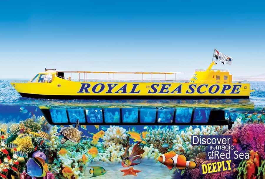 Makadi Bay: Royal Seascope Submarine Cruise & Snorkel stop - Entering the Royal Seascope experience from Makadi Bay