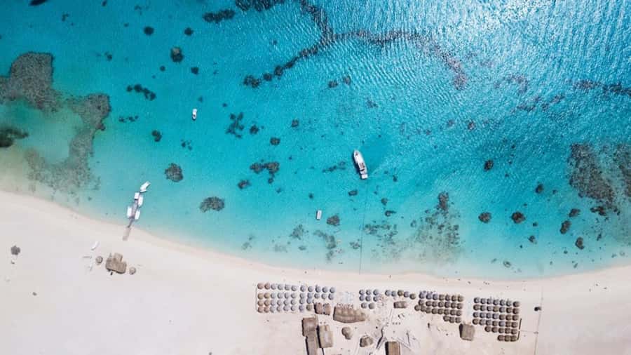 Makadi: Giftun Island Speedboat Cruise to Orange Bay & Lunch - Key highlights in plain terms