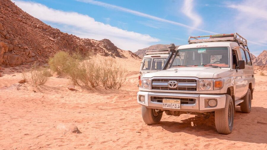 Marsa Alam Bedouin Nights: Jeep Safari, Dinner & Stargazing - Camel Slow-Down, Bedouin Tea, and Camp Life You Can Actually See