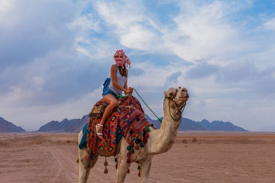 Marsa Alam Bedouin Nights: Jeep Safari, Dinner & Stargazing - Sunset, Dinner, and Cultural Shows Under the Same Sky