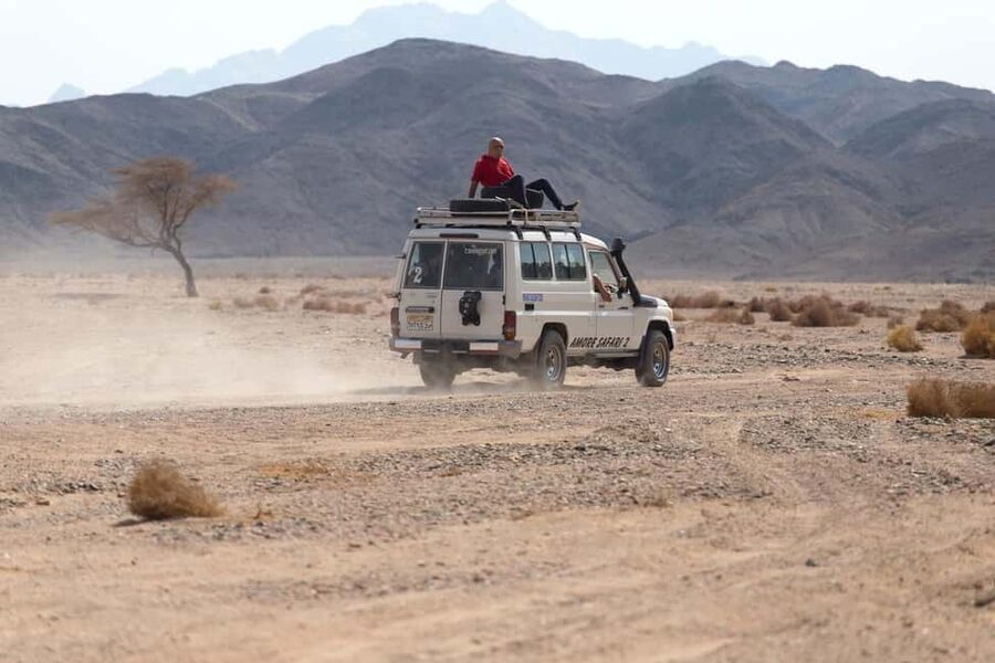 Marsa Alam Bedouin Nights: Jeep Safari, Dinner & Stargazing - Who Should Book, and Who Might Want Another Option