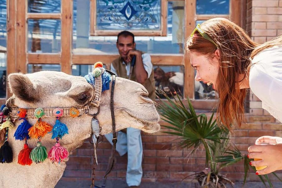 Marsa Alam Bedouin Nights: Jeep Safari, Dinner & Stargazing - Practical Tips for a Smoother Night (Clothes, Water, Timing)