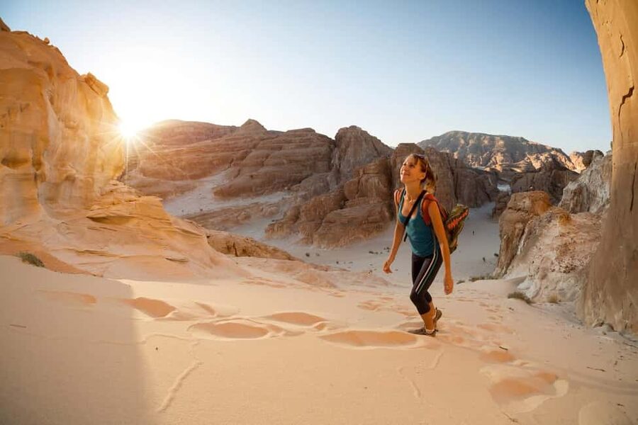 Marsa Alam Bedouin Nights: Jeep Safari, Dinner & Stargazing - Jeep Safari, Quad, and Buggy: Why This Feels Like Real Desert Fun