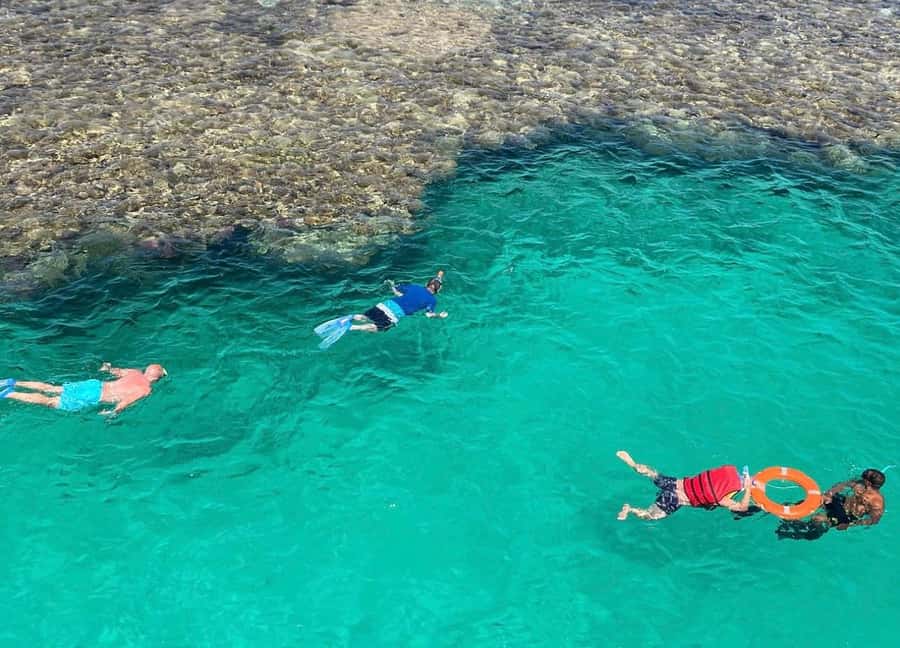 Marsa Alam: Elite vip Turtle bay snorkeling with BBQ Lunch - Guided snorkeling stops: how the time in the water is handled