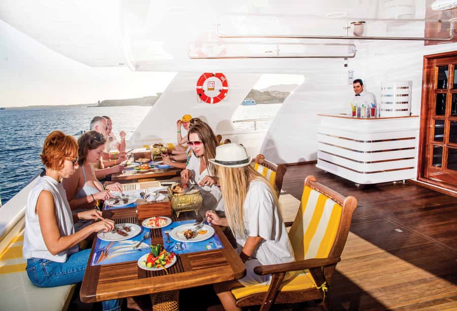 Marsa Alam: Elite vip Turtle bay snorkeling with BBQ Lunch - Getting there: pickup timing and the Port Ghalib start