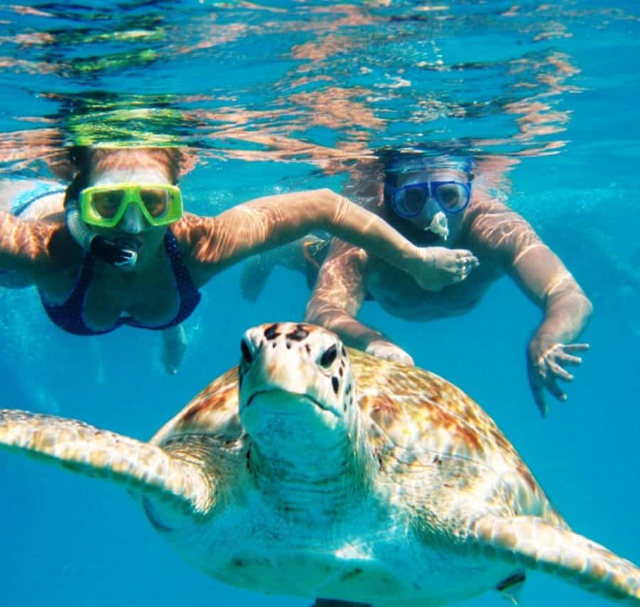Marsa Alam: Pirates Premium Boat to turtle bay with lunch - On-board lunch or dinner with unlimited fizzy drinks