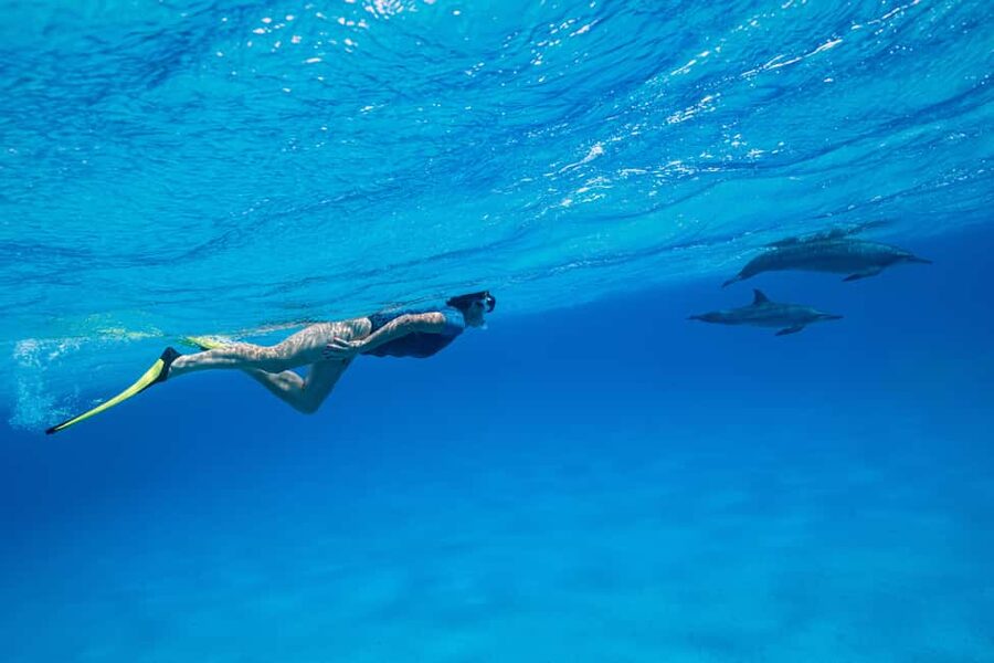 Marsa Alam:Sataya Reefs Dolphin Snorkeling Cruise with Lunch - Key things to know before you go