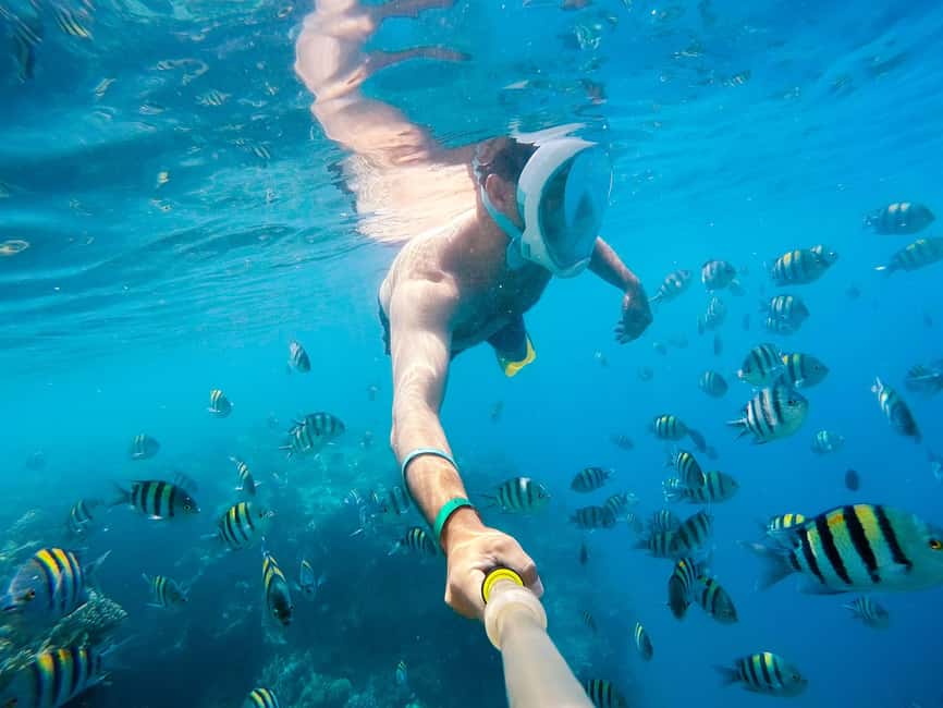 Marsa Alam:Sataya Reefs Dolphin Snorkeling Cruise with Lunch - Sataya Reef Dolphin House: why this stop is special