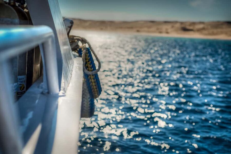 Marsa Alam:Sataya Reefs Dolphin Snorkeling Cruise with Lunch - Who this cruise suits best