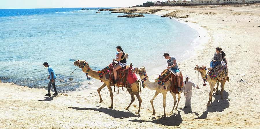 Marsa Alam: Sea and Desert Camel Riding Tour - Value and Timing: Why This $28 Camel Ride Works