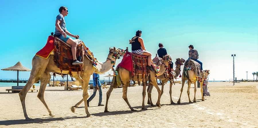 Marsa Alam: Sea and Desert Camel Riding Tour - Pickup Points and Desert Base Arrival: Plan for the Drive