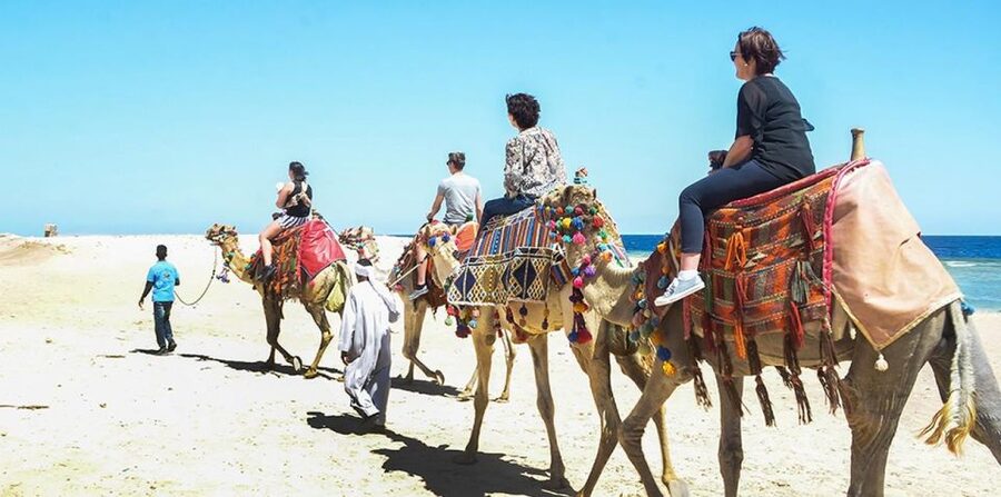 Marsa Alam: Sea and Desert Camel Riding Tour - Should You Book This Marsa Alam Sea and Desert Camel Riding Tour?
