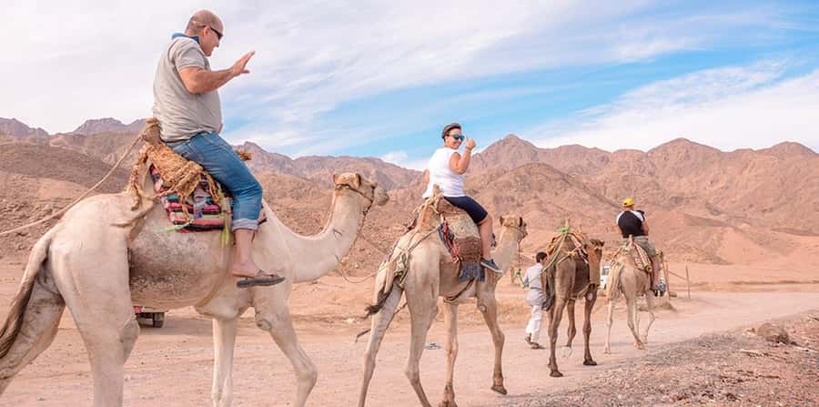 Marsa Alam: Sea and Desert Camel Riding Tour - FAQ
