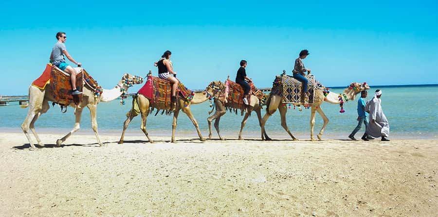 Marsa Alam: Sea and Desert Camel Riding Tour - Sunrise, Morning, Afternoon, or Sunset: Pick Your Best Light