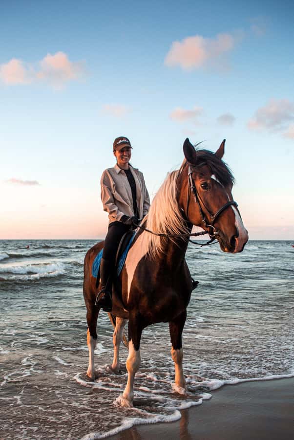 Marsa Alam: Sea and Desert Horse Riding Tour - Key moments worth planning for