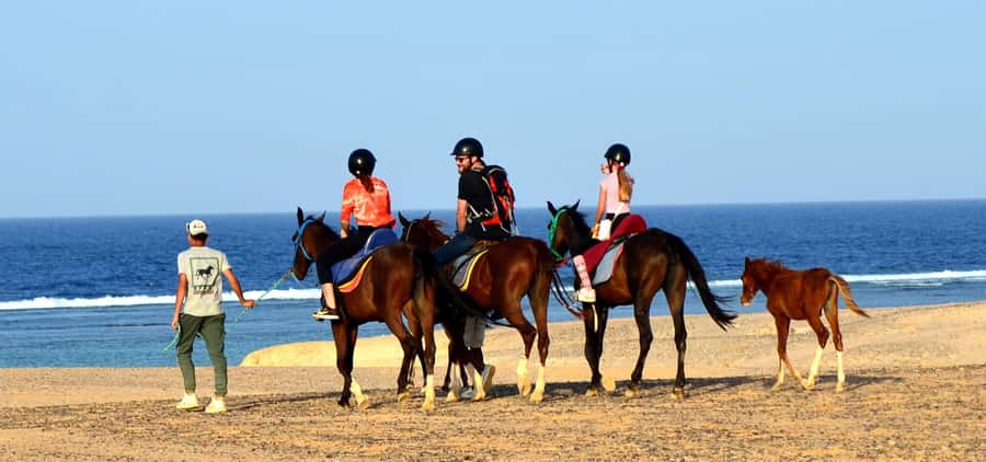 Marsa Alam: Sea and Desert Horse Riding Tour - What to bring for comfort in the desert and at the sea