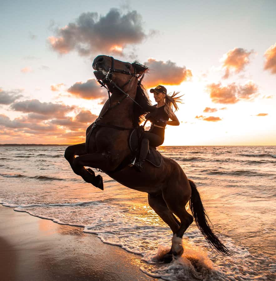 Marsa Alam: Sea and Desert Horse Riding Tour - Why Marsa Alam works so well for sea-and-desert riding