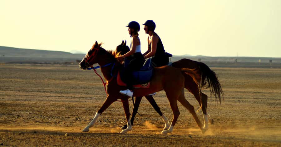 Marsa Alam: Sea and Desert Horse Riding Tour - The 2-hour route: desert trails plus seaside time