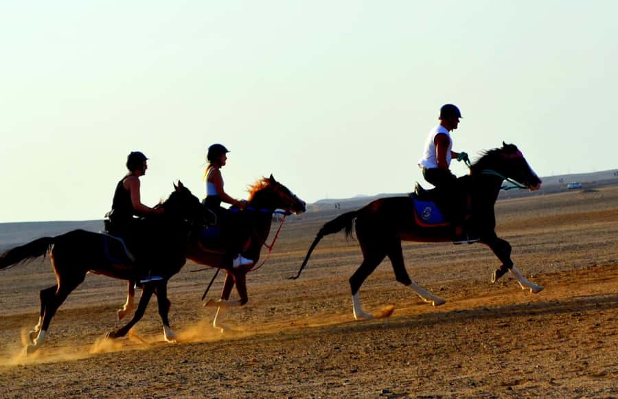 Marsa Alam: Sea and Desert Horse Riding Tour - Timing options: sunrise, morning, afternoon, and sunset