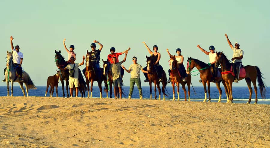 Marsa Alam: Sea and Desert Horse Riding Tour - VIP 4-hour ride and the sea swim with your horse