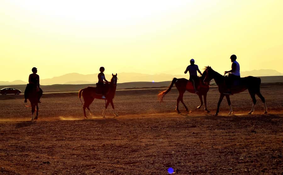 Marsa Alam: Sea and Desert Horse Riding Tour - Hotel pickup in Coraya, Port Ghalib, Abu Dabbab, and Marsa Alam City