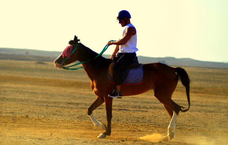 Marsa Alam: Sea and Desert Horse Riding Tour - How the guides help you ride confidently