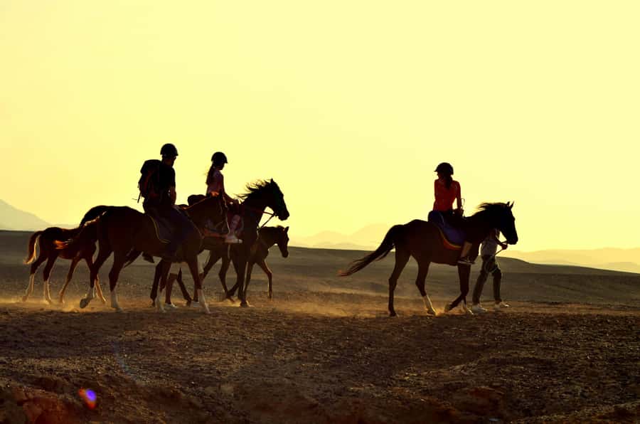 Marsa Alam: Sea and Desert Horse Riding Tour - Stables, safety check, and getting comfortable fast