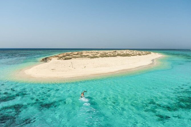 Marsa Alam: Snorkel with Sea Cows and Turtles at Marsa Mubarak - Snorkeling for dugongs and turtles: what to expect underwater