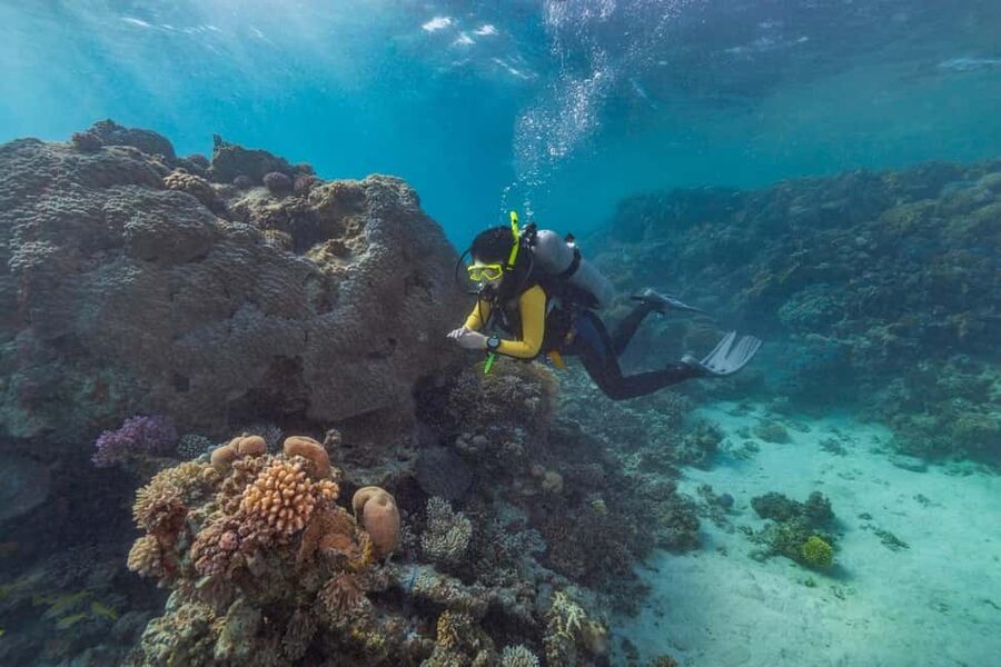 Marsa Alam: Snorkeling with Sea Turtles Marsa Mubarak - The optional 1-hour city tour with sunset option