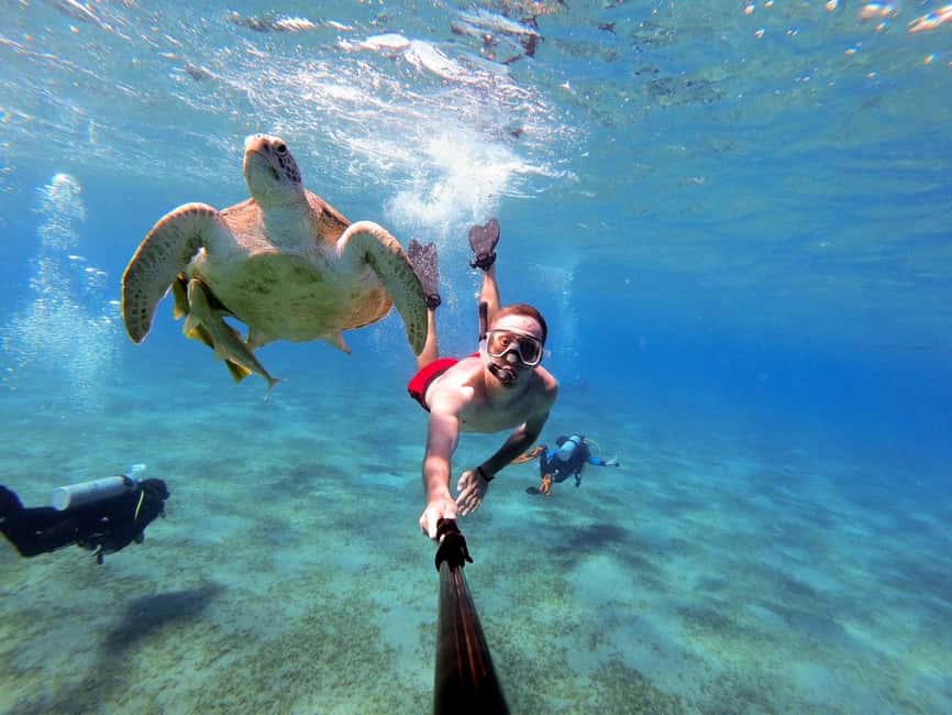 Marsa Alam: Snorkeling with Sea Turtles Marsa Mubarak - From Marsa Alam shores to the national park waters