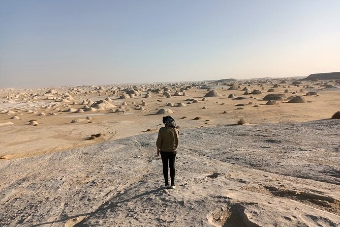 Marvel 10 Day to Giza Pyramids ,White desert ,Nile Cruise & Hotel - Aswan: High Dam and Philae, Then Cruise Check-In