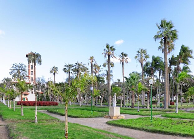 Mirette Tour in Alexandria from Alexandria hotels and Alexandria Port - Key things to know before you go