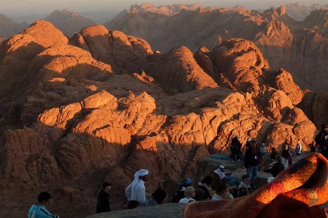 Mount Sinai & St.Catherine Monastery - Comfort and logistics that actually matter overnight