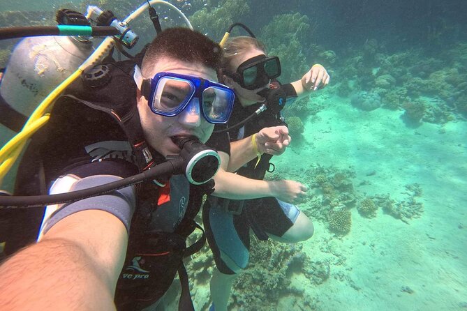 Moving Underwater 2 professional diving with lunch - The Surface Interval and Lunch Stop: Eating Well Between Sessions