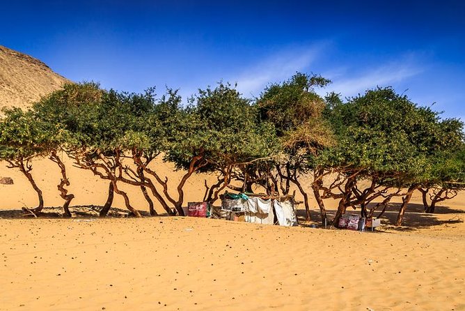 Nubian Village by Motorboat In Aswan - The Life Crocodile house stop: fun add-on, not the whole point