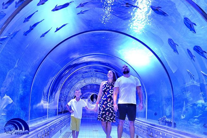 Official Account: Hurghada Grand Aquarium Entrance Tickets - Touch tank and rope bridge: the parts that keep families happy