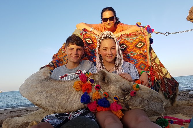 One hour Camel Ride At Amazing Desert With Transfer - Hurghada - The Camel Hour: Pace, Photo Stops, and Why “Steady” Is a Feature