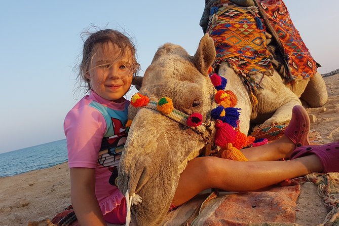 One hour Camel Ride At Amazing Desert With Transfer - Hurghada - Desert Expectations vs. What the Route May Look Like