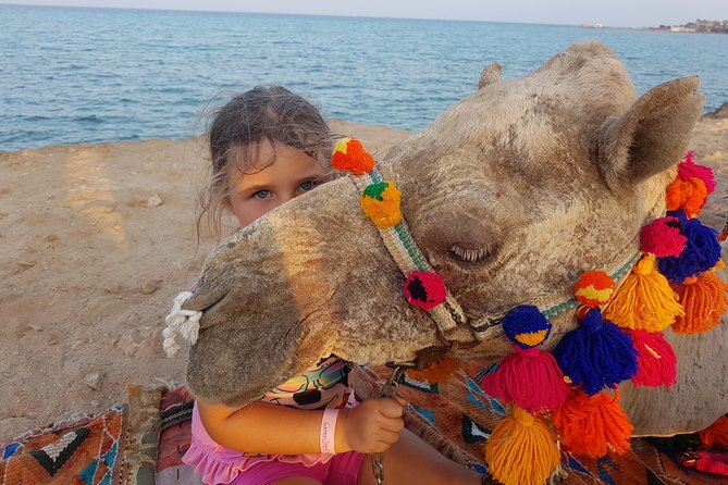 One hour Camel Ride At Amazing Desert With Transfer - Hurghada - Hotel Transfer and Timing: How the 2 Hours Usually Play Out