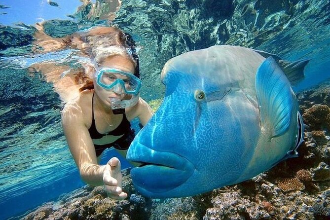 Orange Bay Island 2 Snorkeling Stops Water Sports Romantic Escape - Banana and Sofa Boat Rides: The Fun Part That Sets the Tone