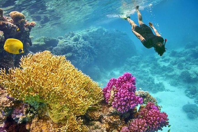 Orange Bay Island 2 Snorkeling Stops Water Sports Romantic Escape - Pickup, Boat Time, and Why Timing Can Feel Messy