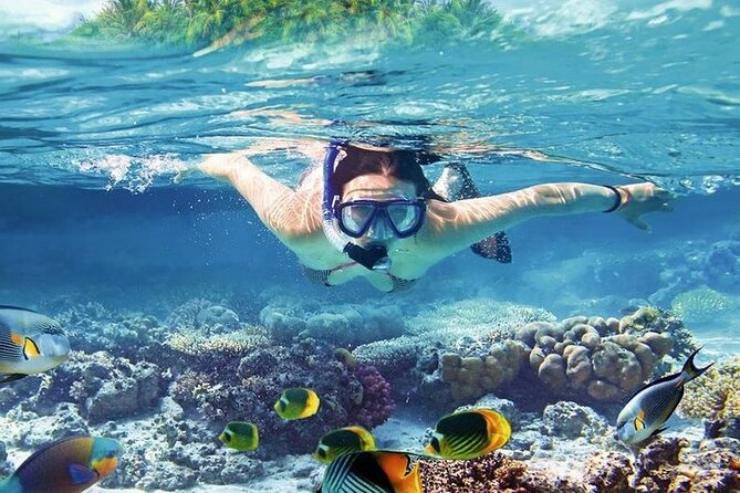 Orange Bay Island Luxury Boat With Lunch & Water Sport - Hurghada - Orange Island and coral reefs: what you will actually be doing