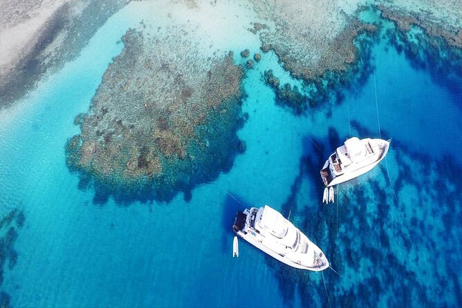 Orange Bay island Maldives of Egypt snorkeling Private 4 hours - Key things that make this tour worth your time