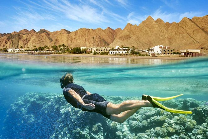 Orange Bay island Maldives of Egypt snorkeling Private 4 hours - Who should book this Orange Bay snorkeling day