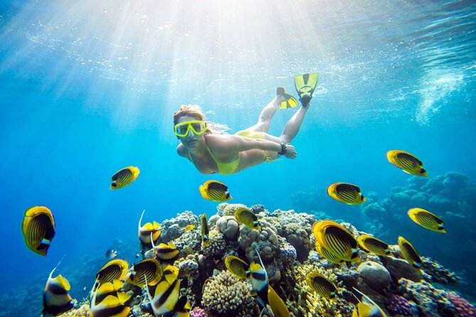 Orange Bay Island Snorkeling with Lunch & Water Sports - Hurghada - Price and value: $19 is the headline, but budget for the extras