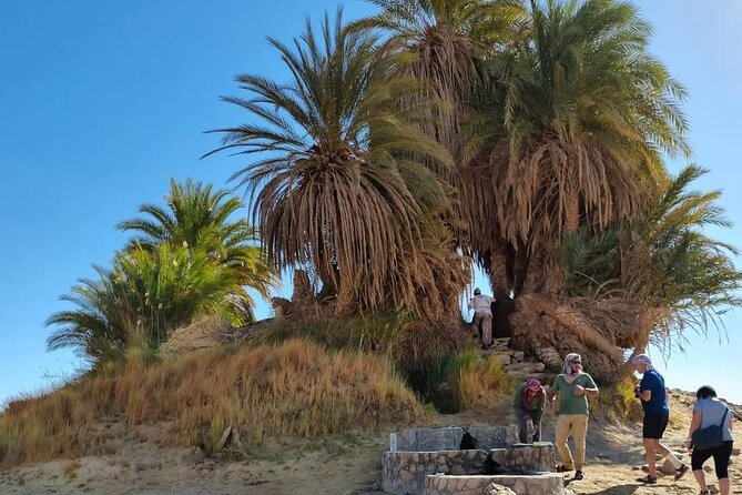 Overnight camping black and white desert. - Three meals, water, and desert cooking: Why included food is a comfort upgrade