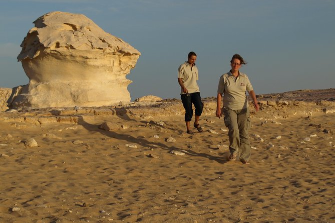 Overnight White Desert Safari Camping from Cairo - Dinner under the stars: camp life, food, and the reality of no toilet