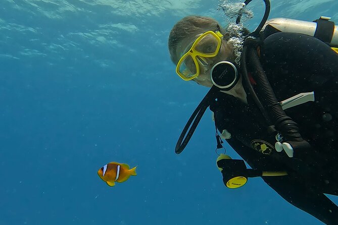PADI Advanced Diving Course in Hurghada - Learn Scuba Diving - A small-group Advanced course that stays practical