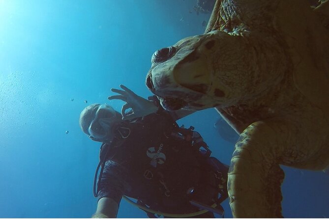 PADI Advanced Diving Course in Hurghada - Learn Scuba Diving - Meeting point and timing: Seagull beach resort at 8:00 am