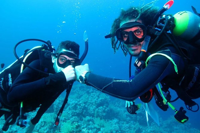 PADI Open Water Diver Course - Key highlights to know before you go